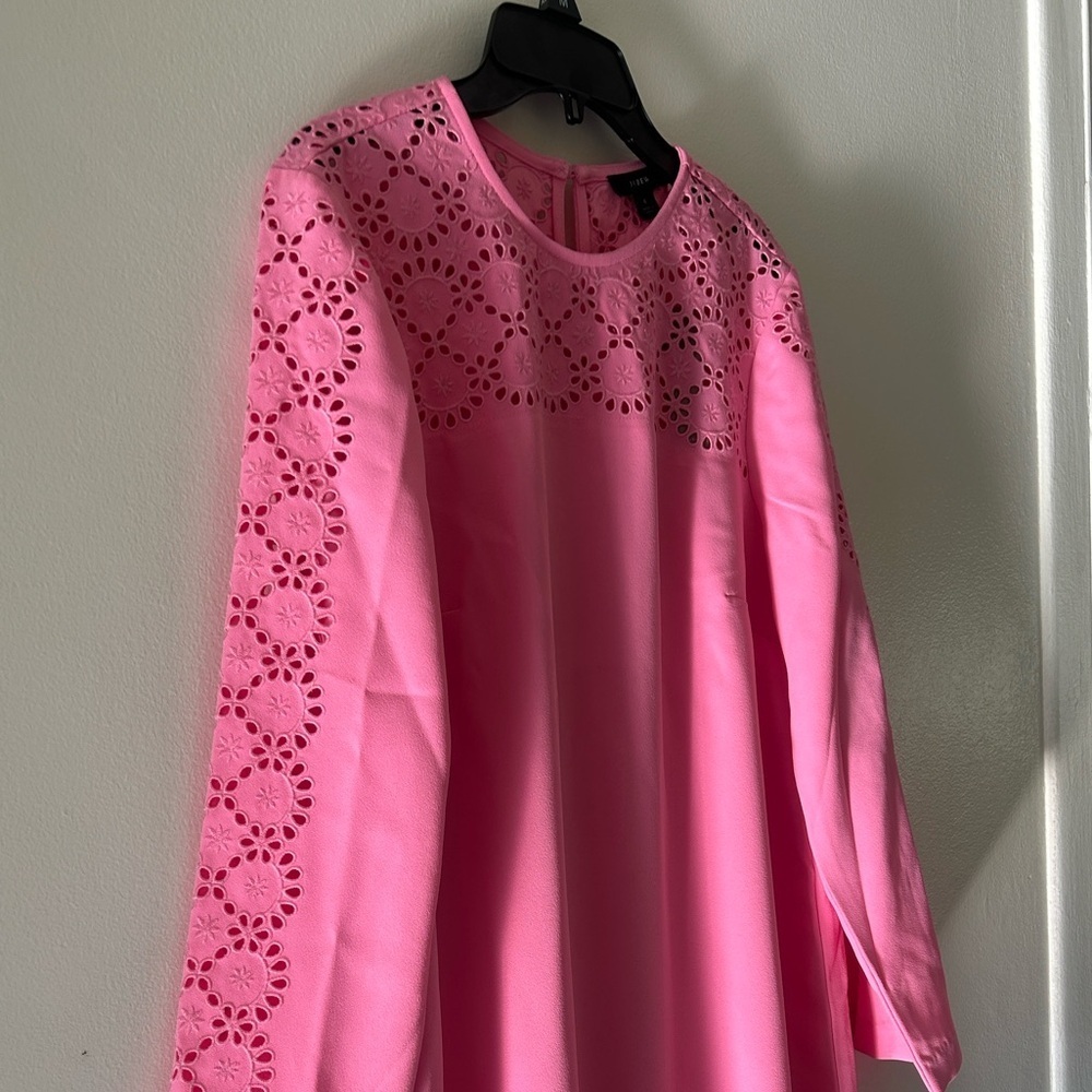 J . Crew Pink Long Sleeve Dress with Lace Detail - Picture 6 of 15